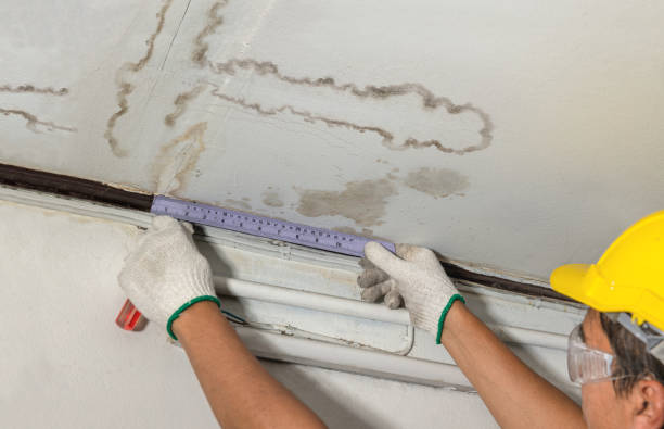 Reliable Mold Remediation contractor in Central Falls, RI by Local Water Damage Repair